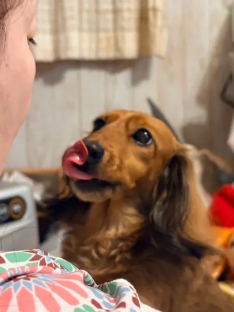 たらこちゃん🐾