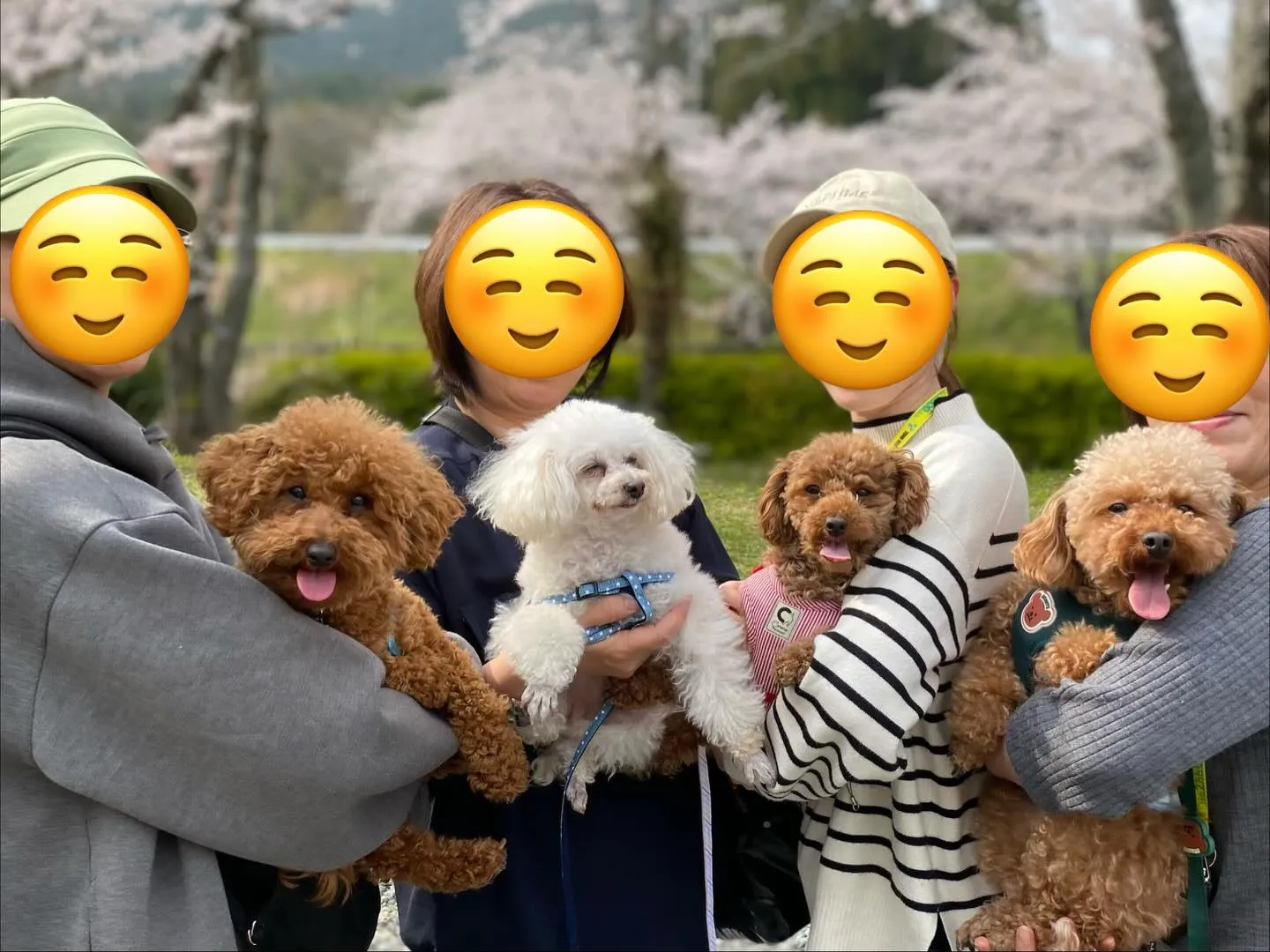 ココア君＆お蕎麦ちゃん&いちごちゃん＆ダール君🐾