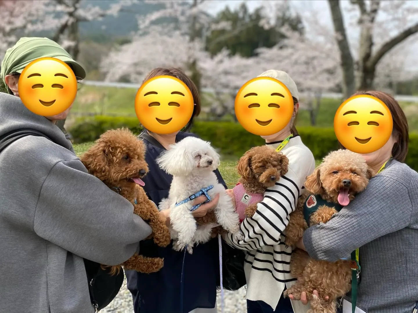 ココア君＆お蕎麦ちゃん&いちごちゃん＆ダール君🐾