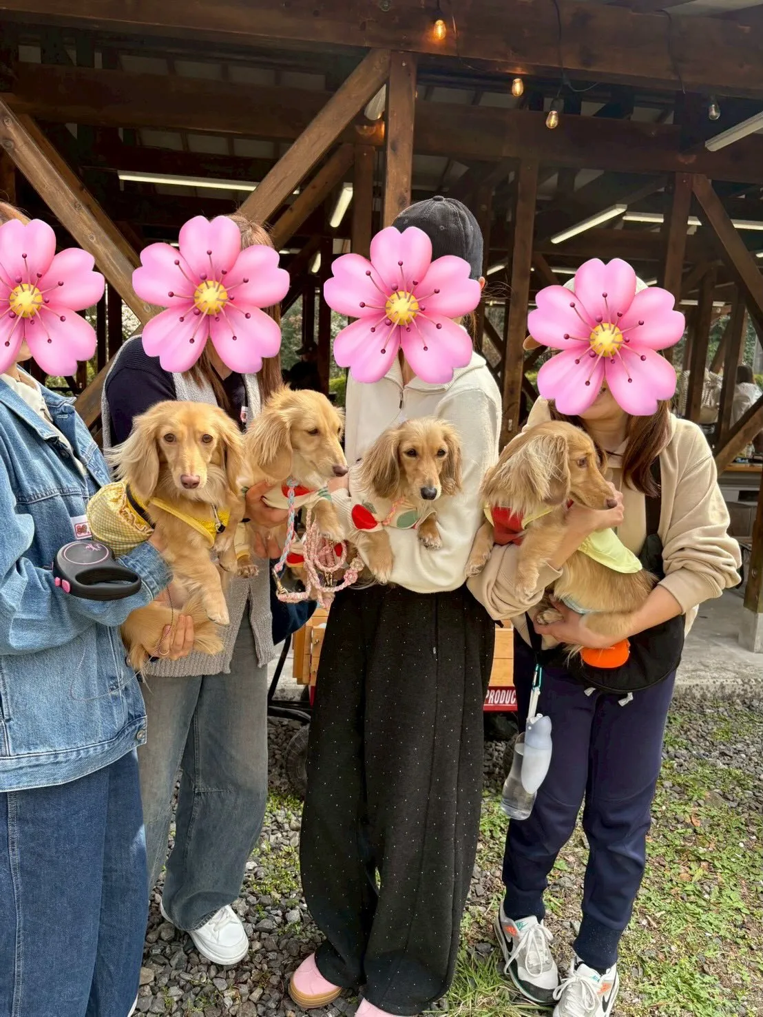 オフ会🌸🐾
