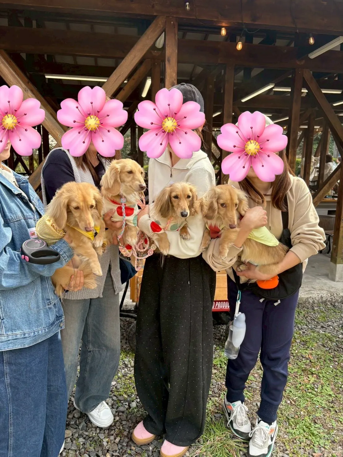オフ会🌸🐾