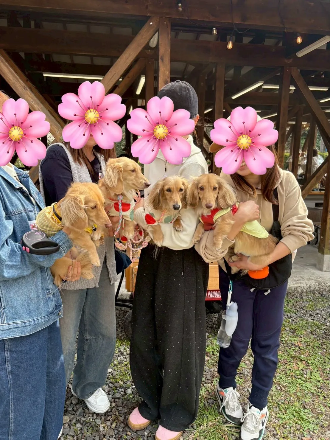 オフ会🌸🐾