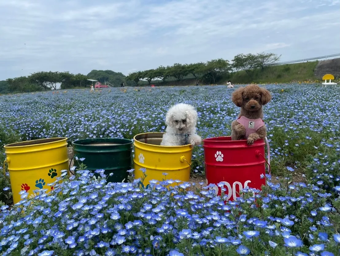 いちごちゃん＆お蕎麦ちゃん🐾