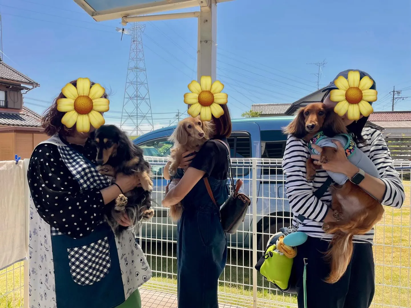 里帰りしてくれました♡🐾