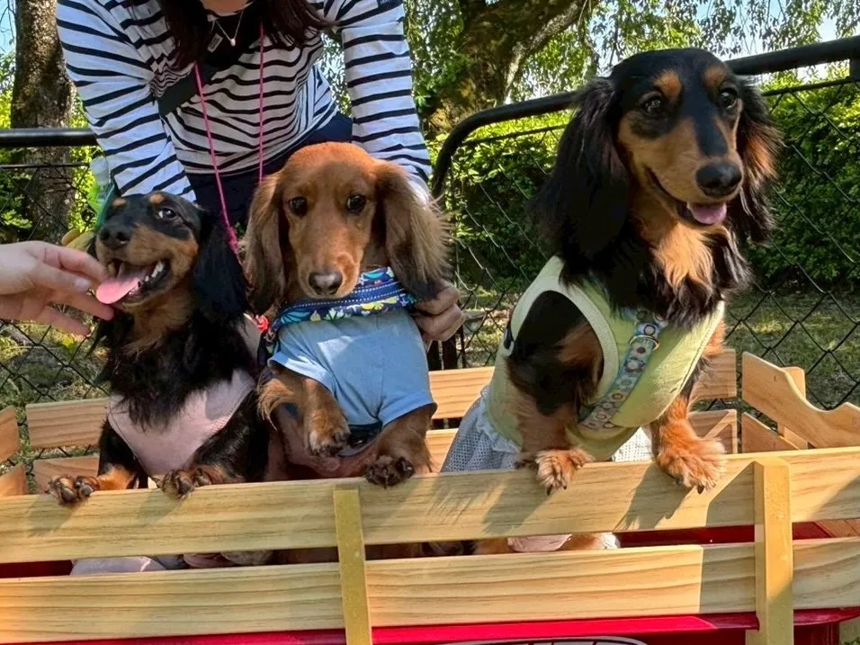 オクラ＆シンバ君＆うなちゃん🐾