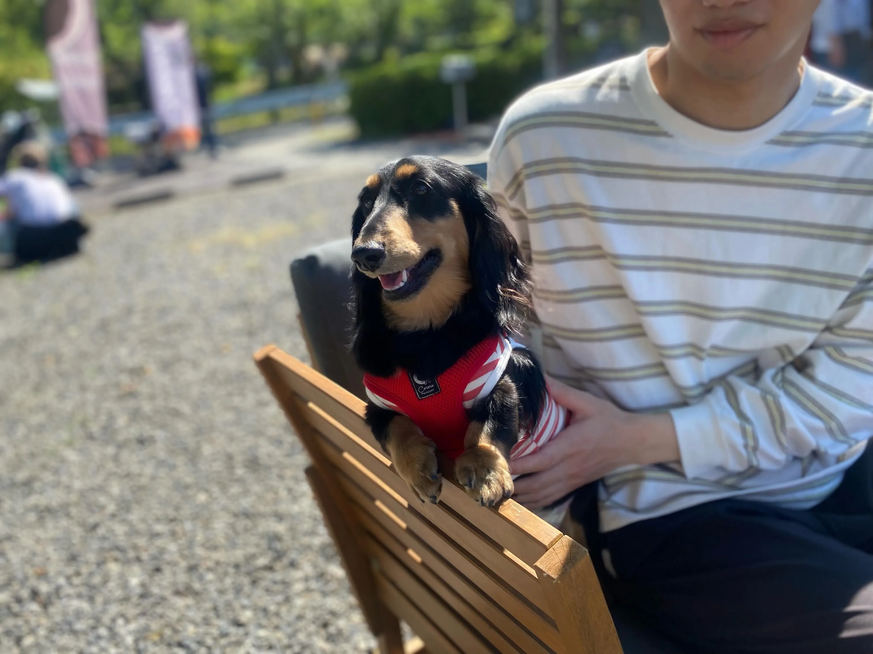 花ちゃん🐾