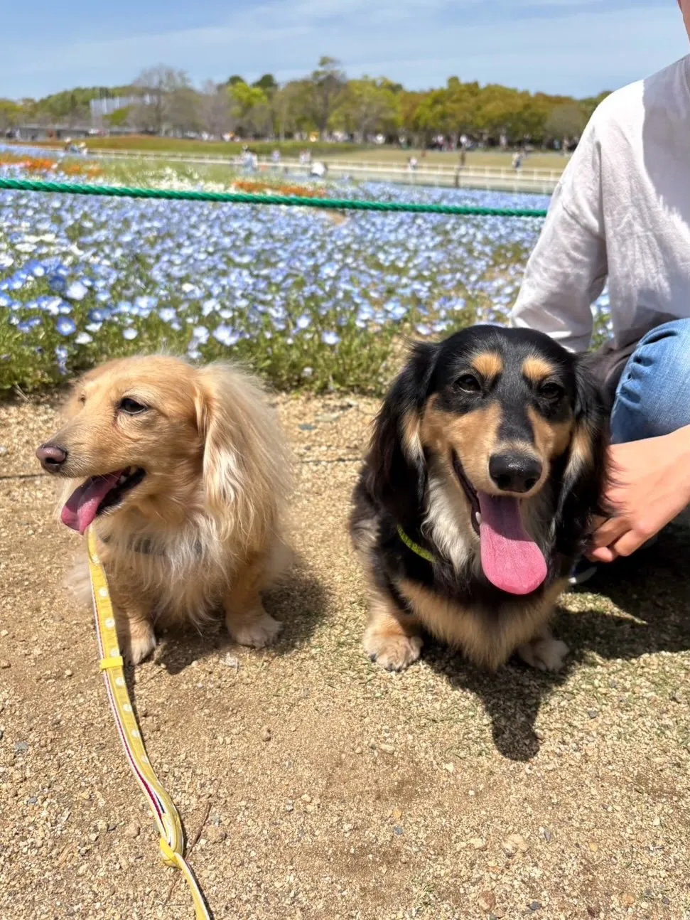 レオン君🐾