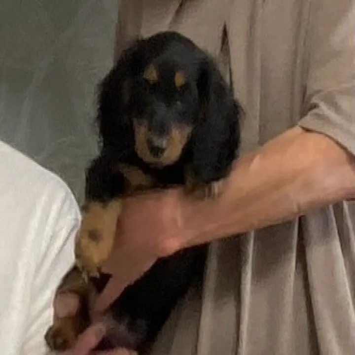 天君🐾