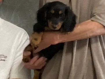 天君🐾