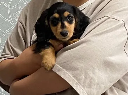 羽君🐾