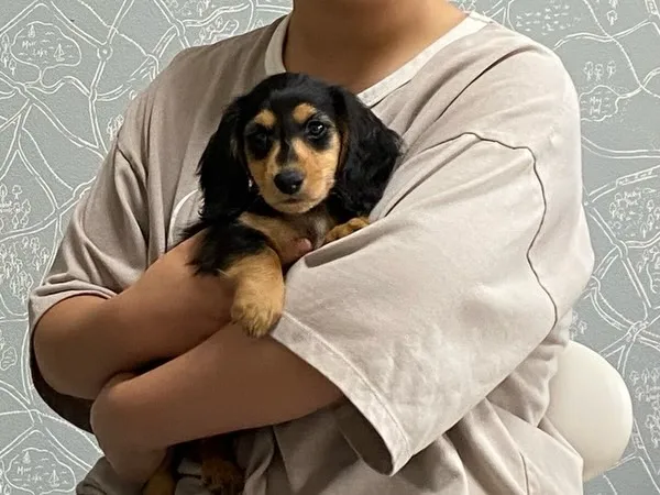 羽君🐾