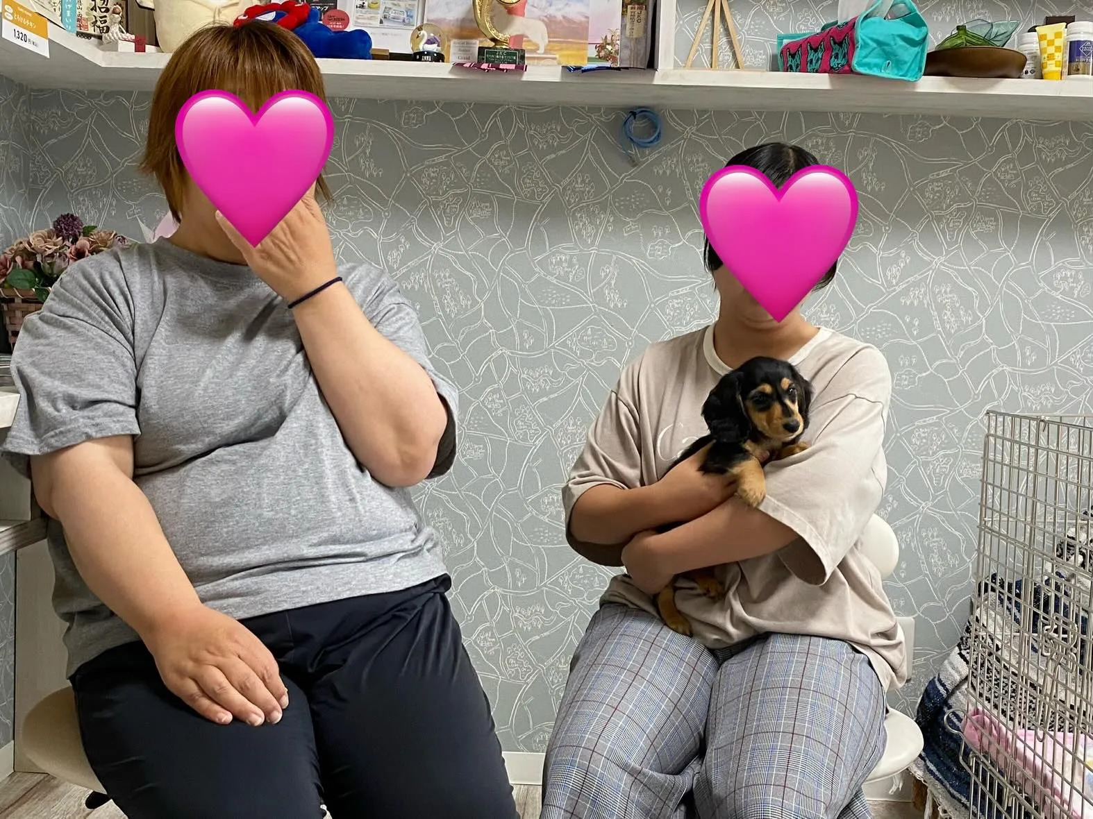 羽君🐾