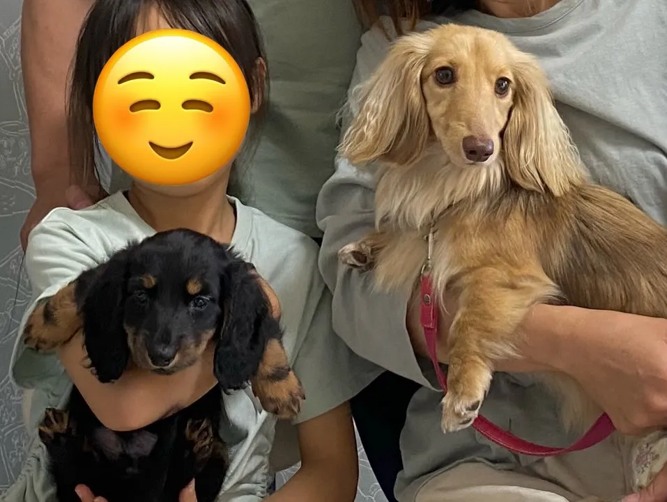 いぶき君🐾