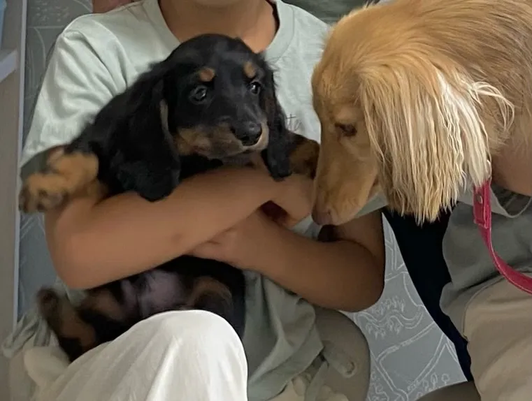 いぶき君🐾