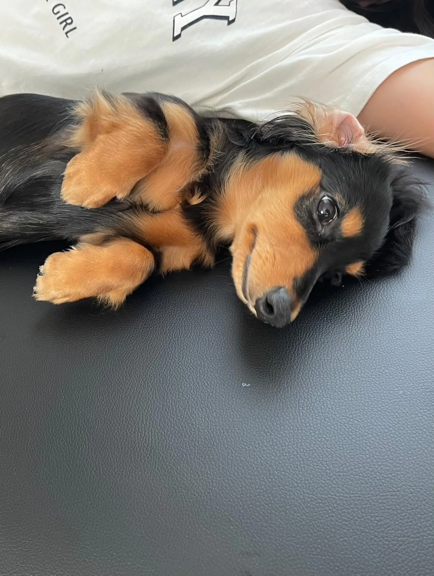 むぎちゃん🐾
