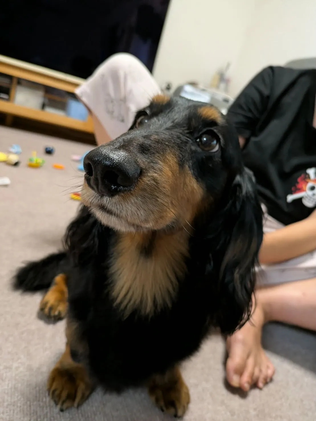 マイク君🐾