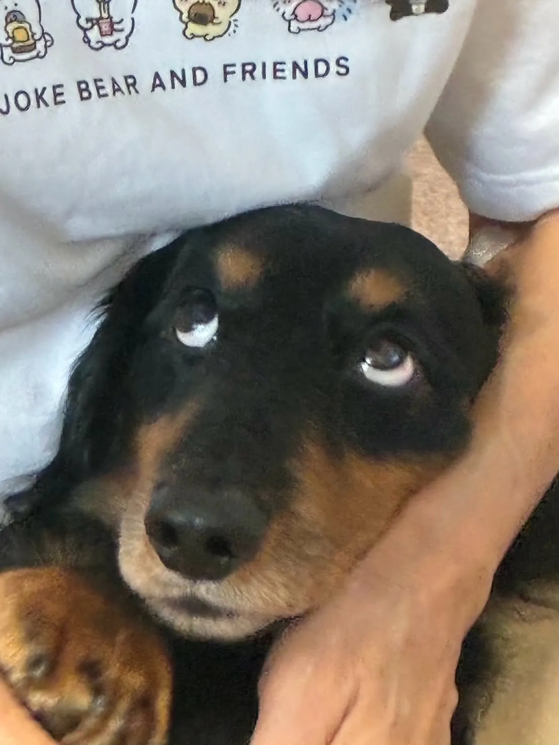 マイク君🐾