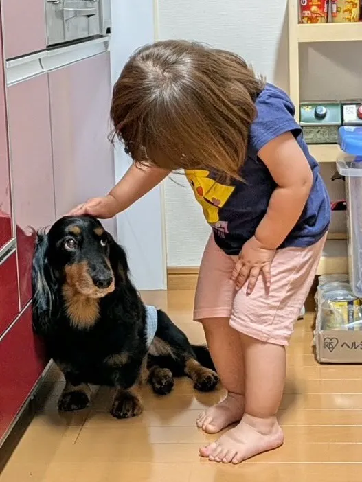 マイク君🐾