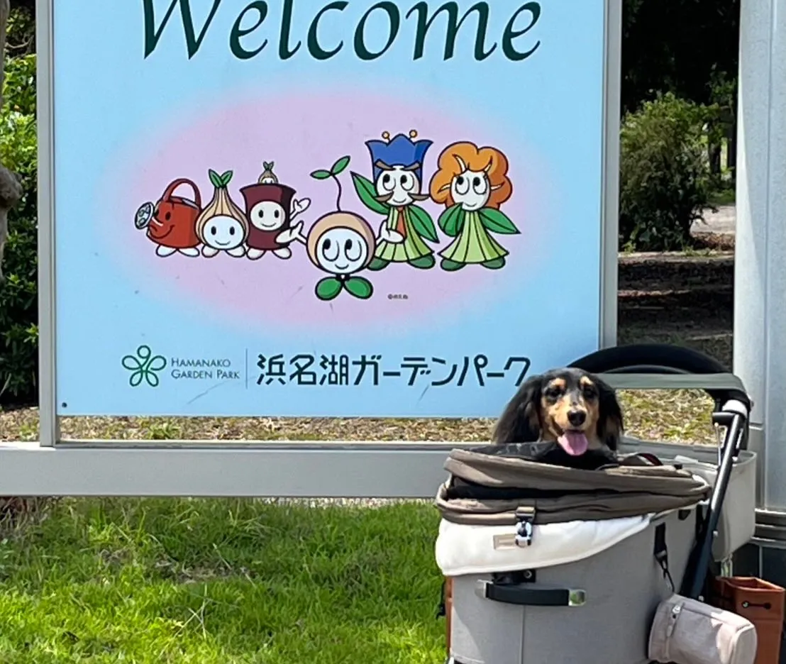 ダンク君🐾