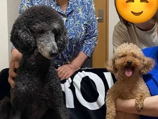 ダール君🐾
