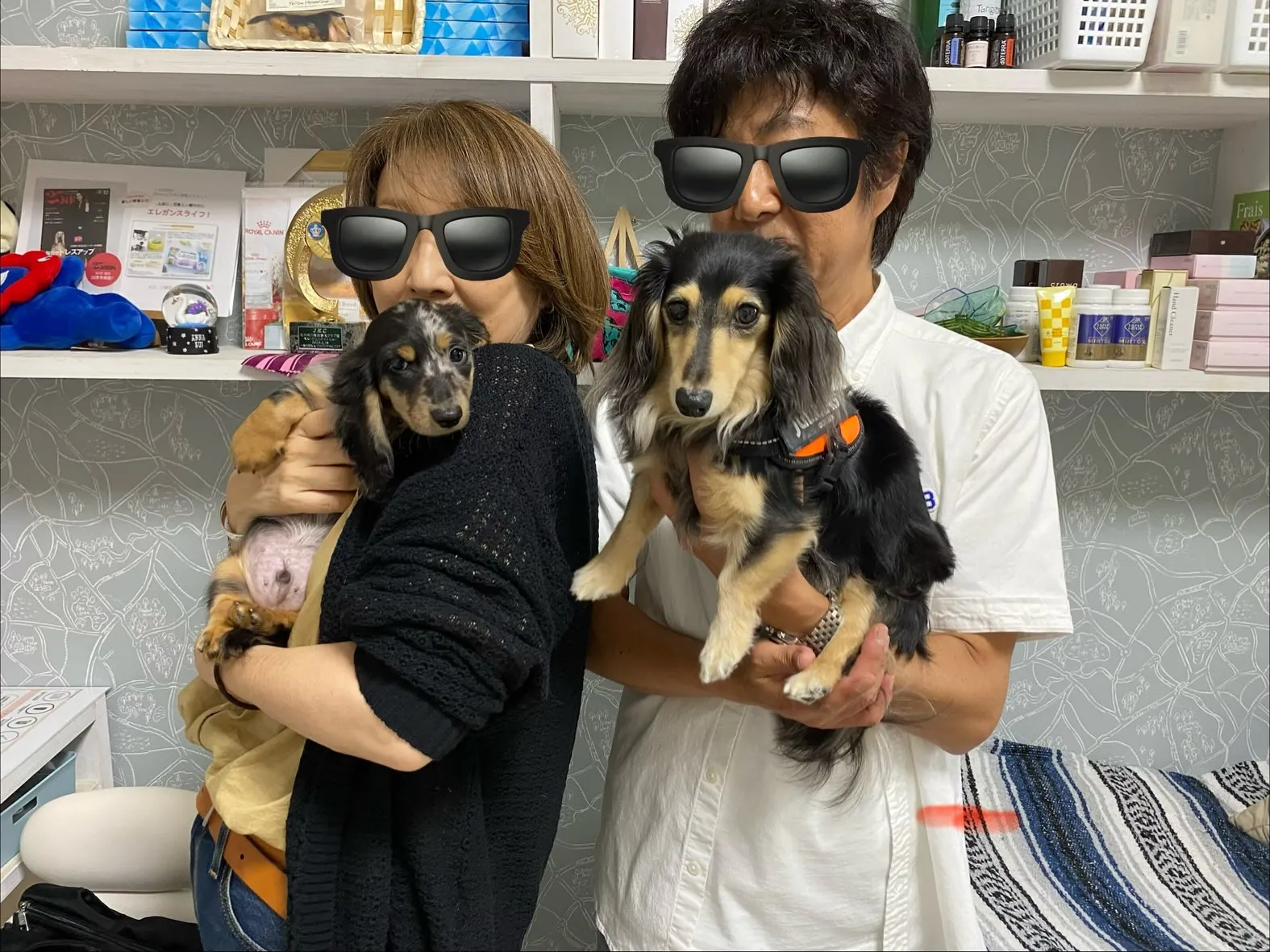 海君🐾