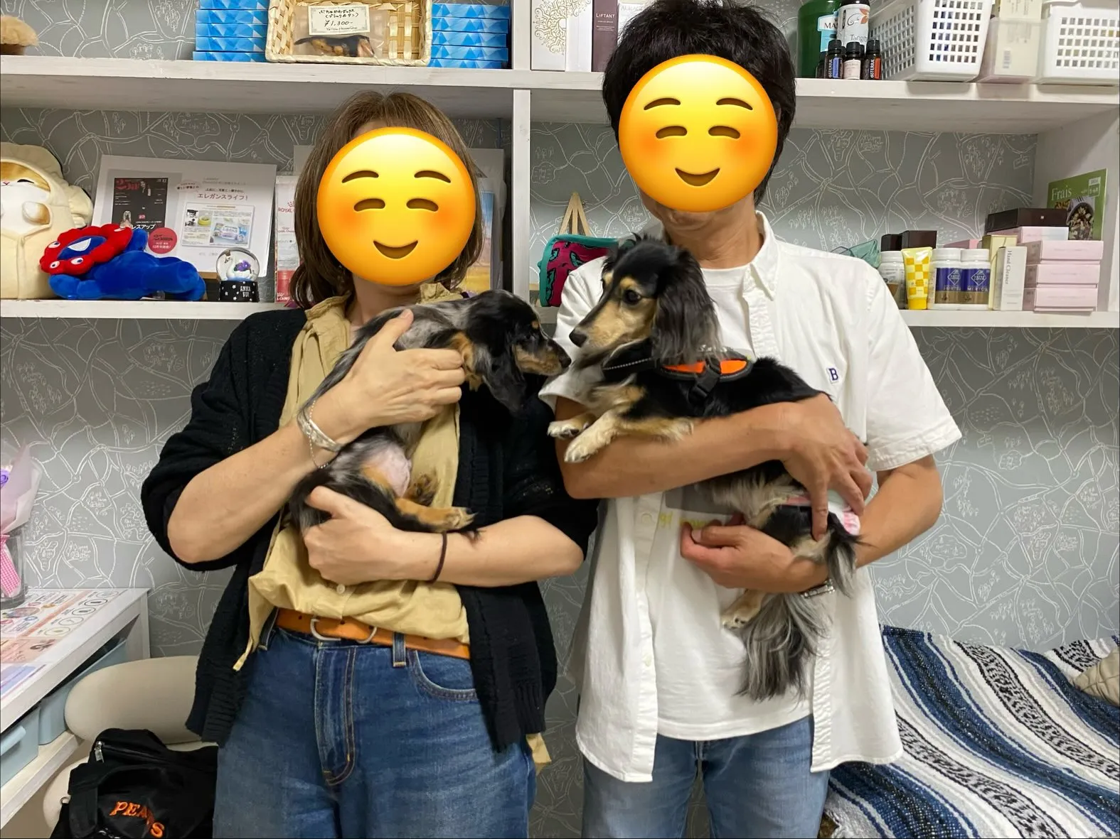 海君🐾