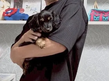 巣立ちの日✨🕊️✨🏠✨🕊️✨🐾