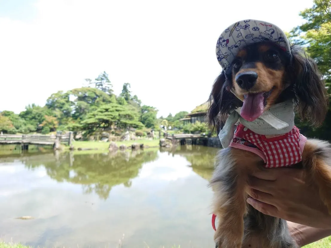 なもちゃん🐾