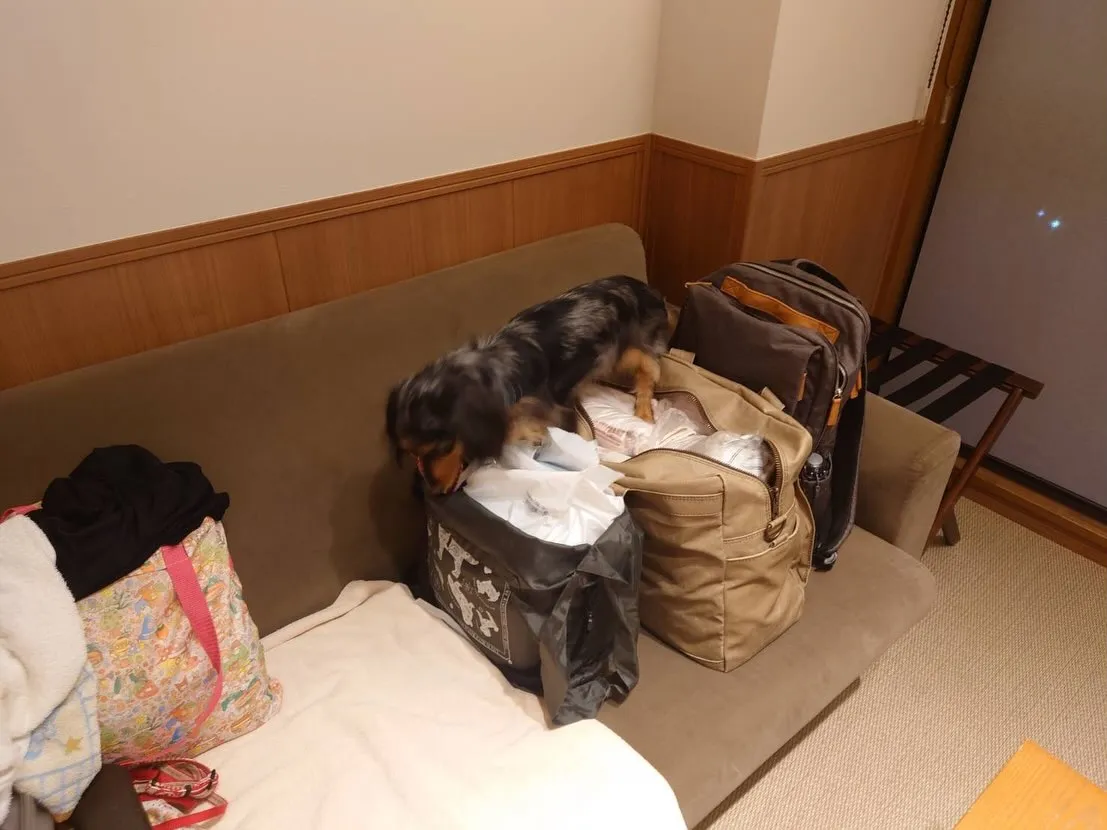 なもちゃん🐾