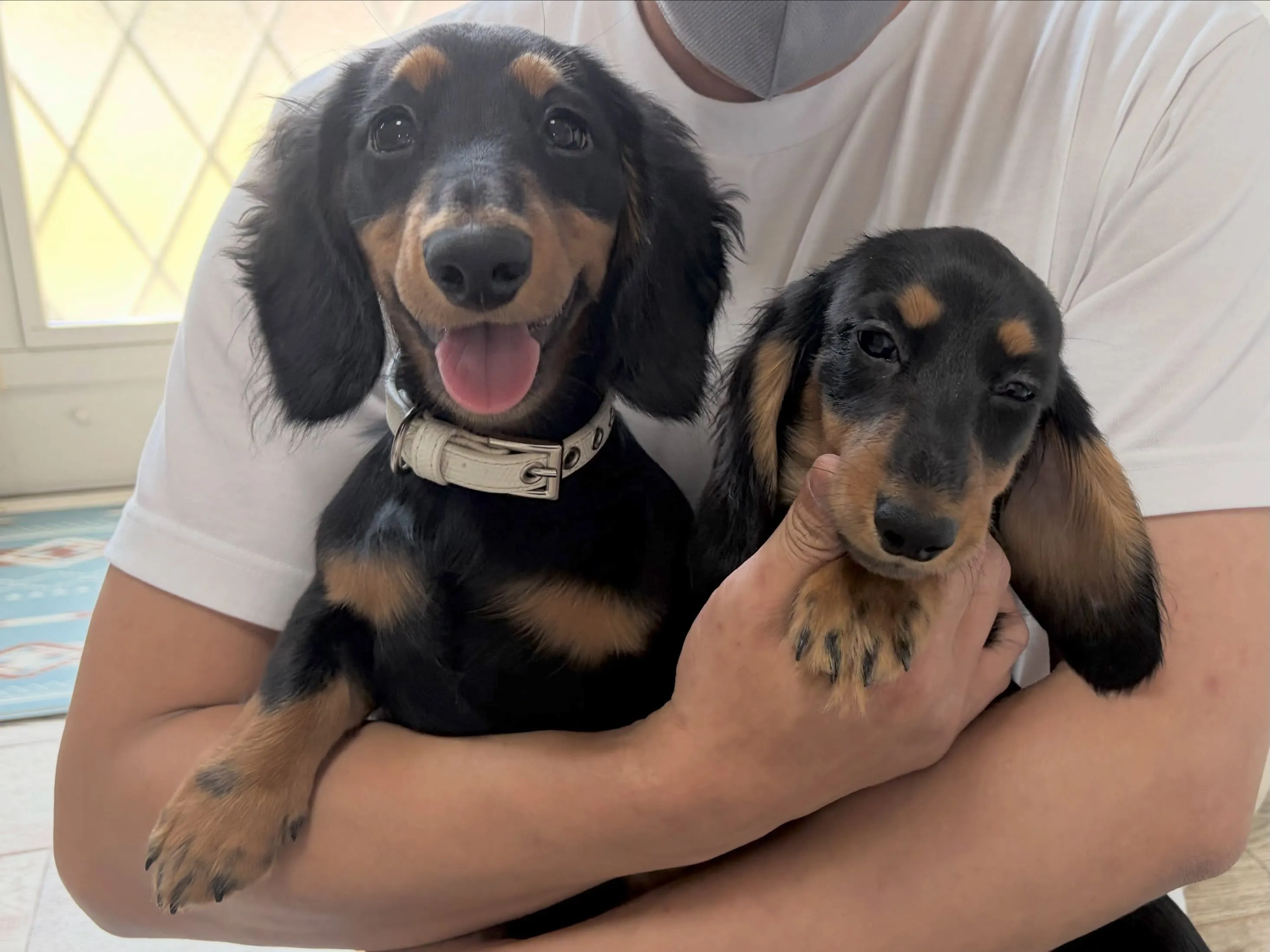天君🐾