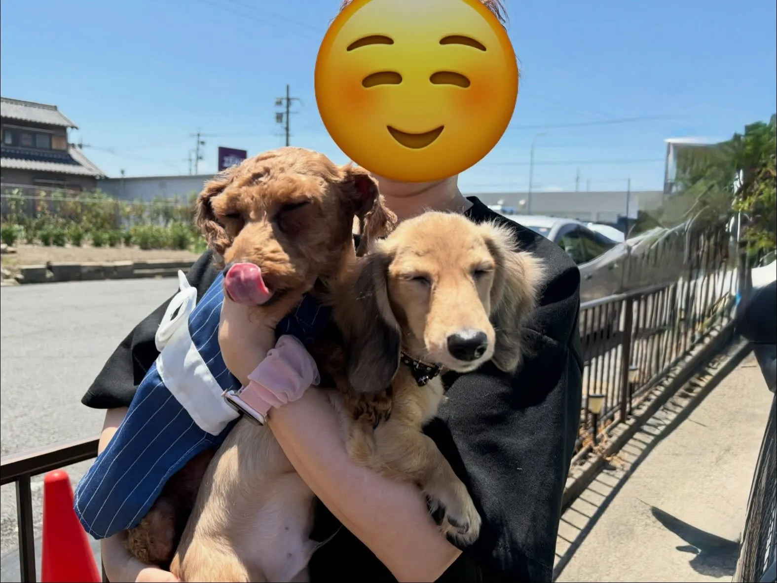 ココア君＆ノア君🐾