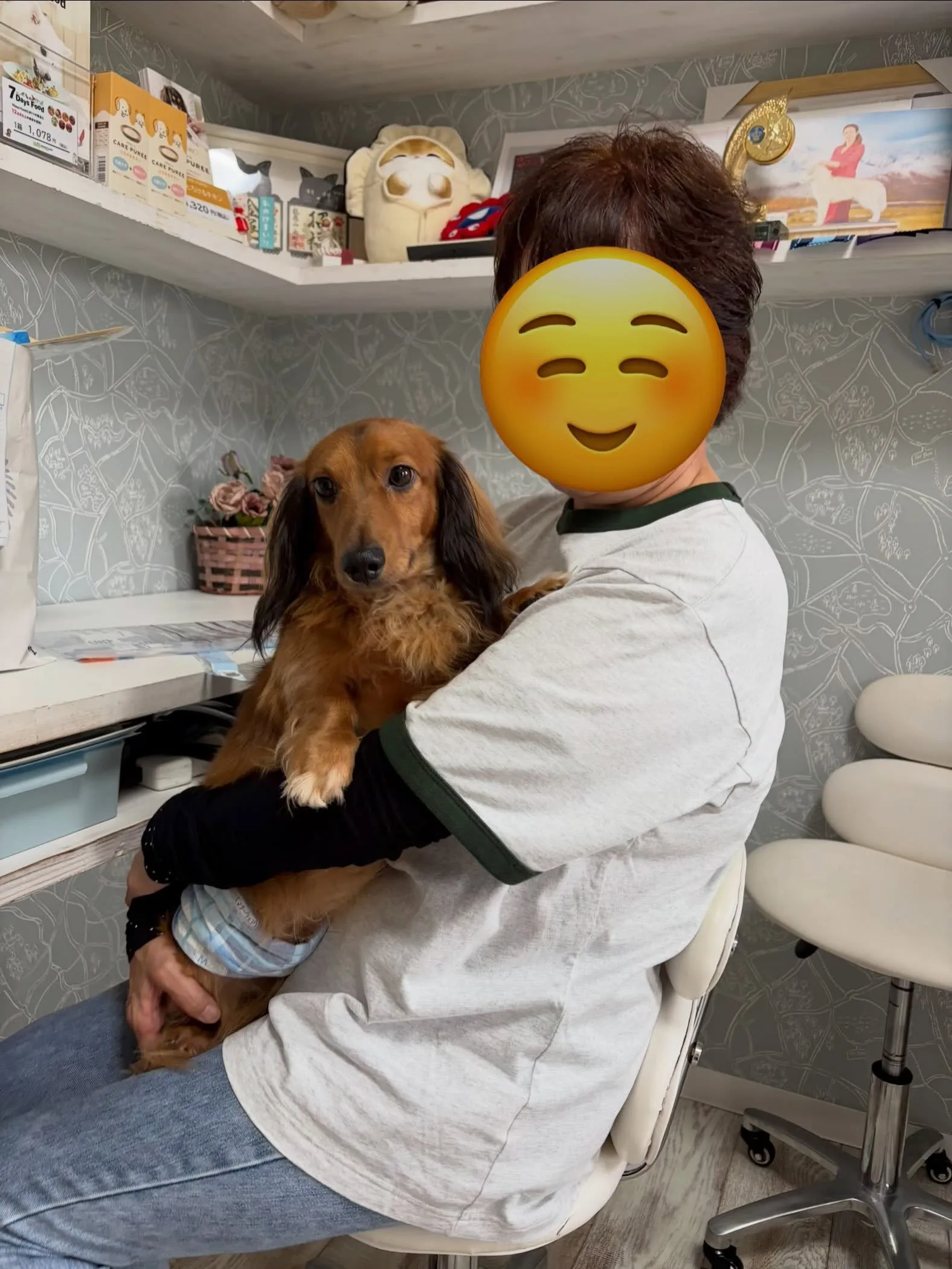 そぼろ君🐾
