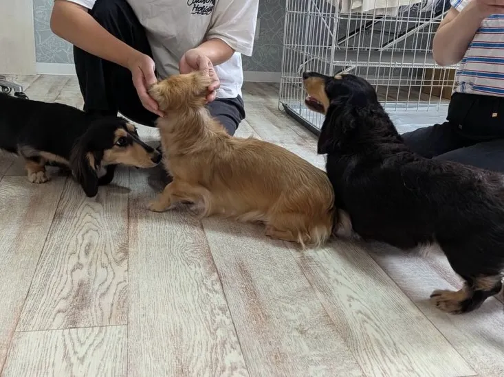 ナノちゃん🐾