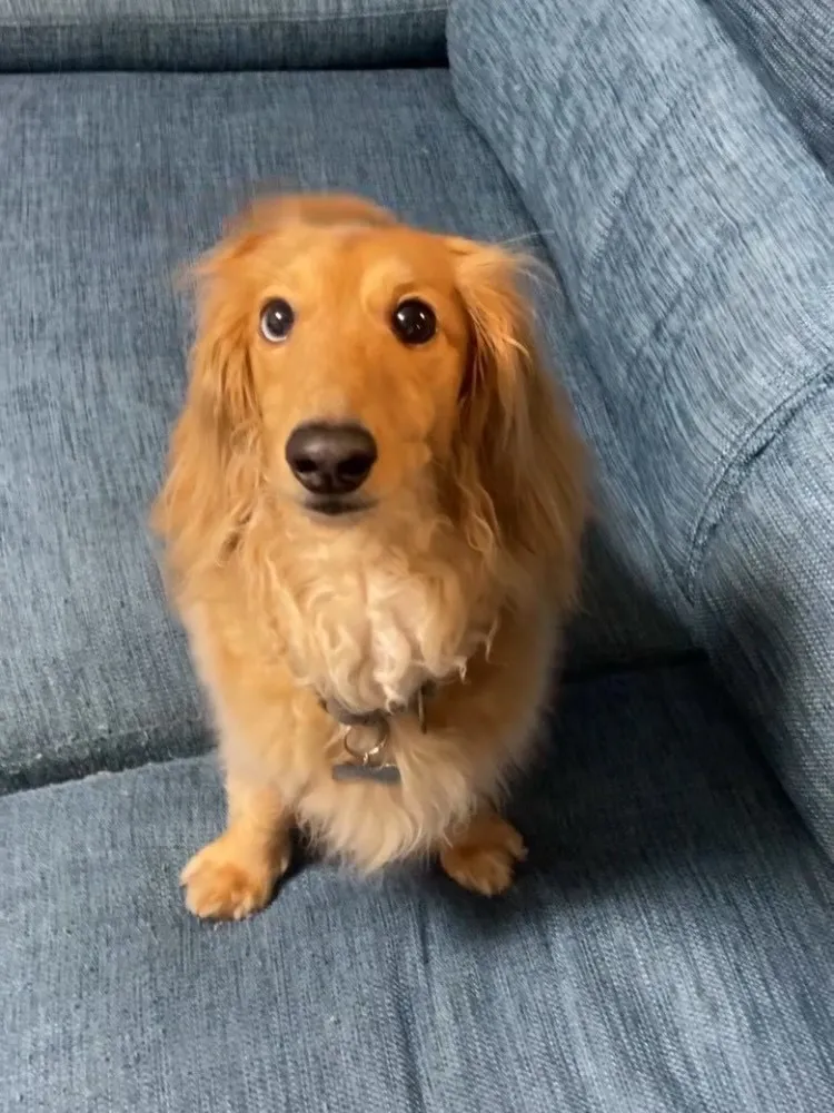 ジギー君🐾