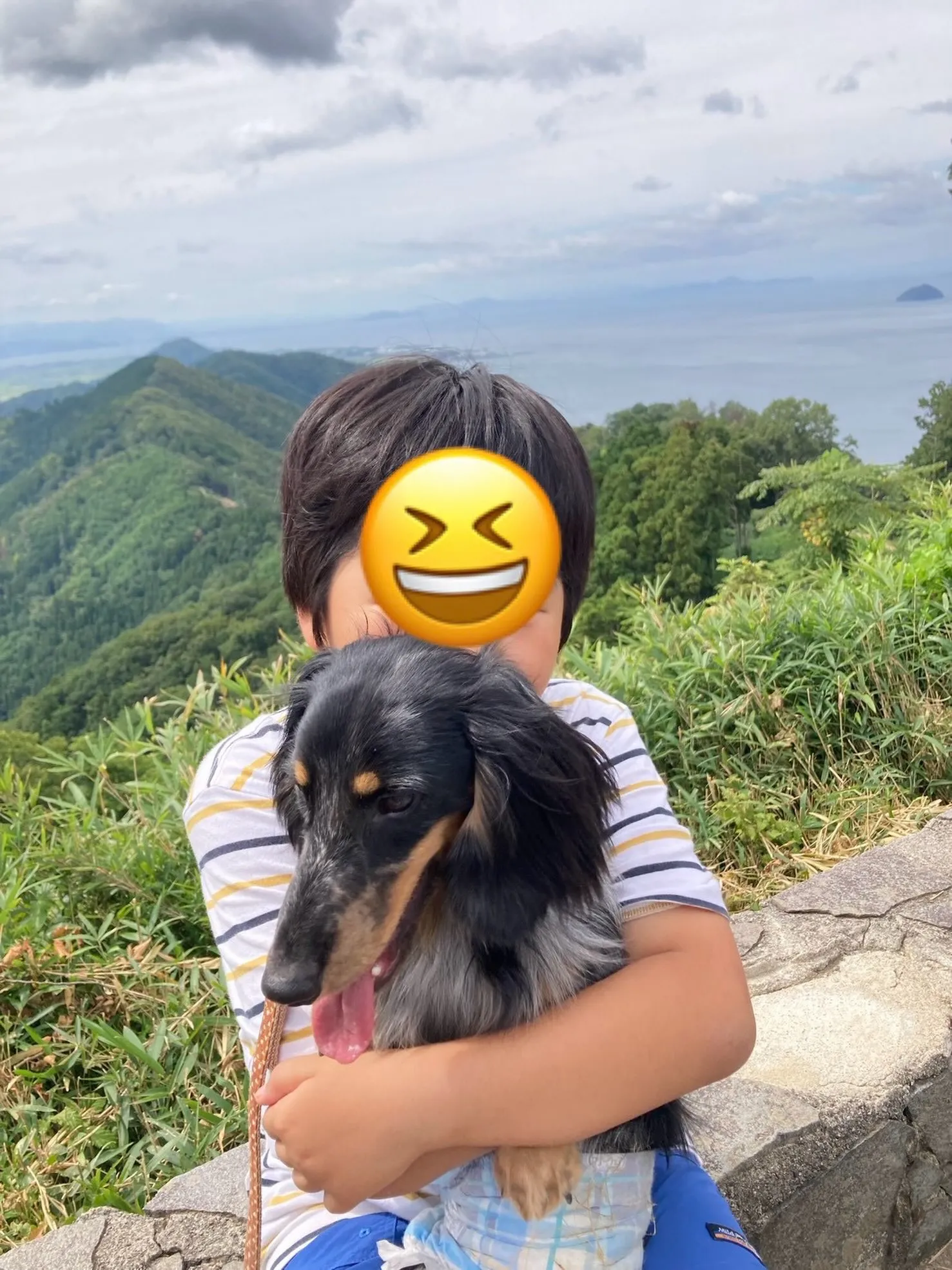めお君🐾