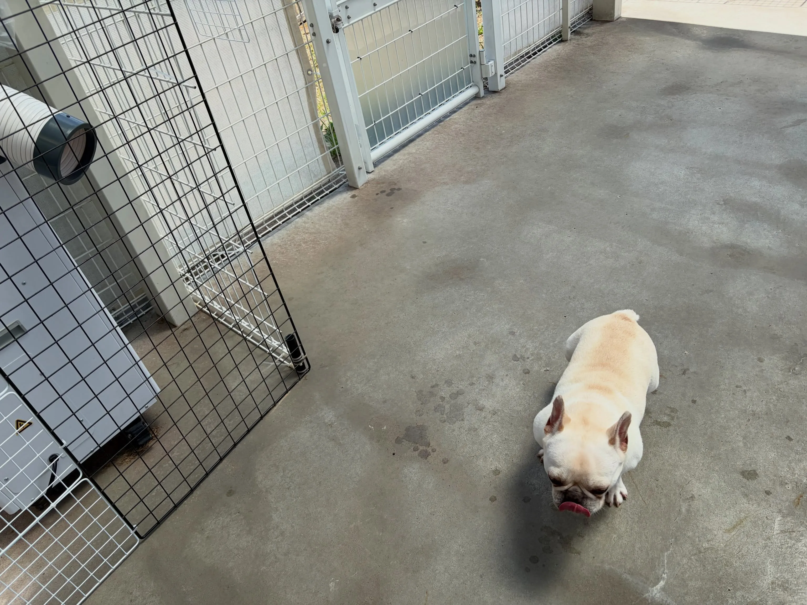 陣地取り隊、のりたま＆みかん🐾