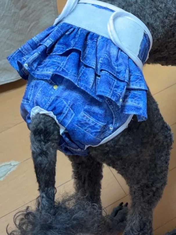 ルー🐾