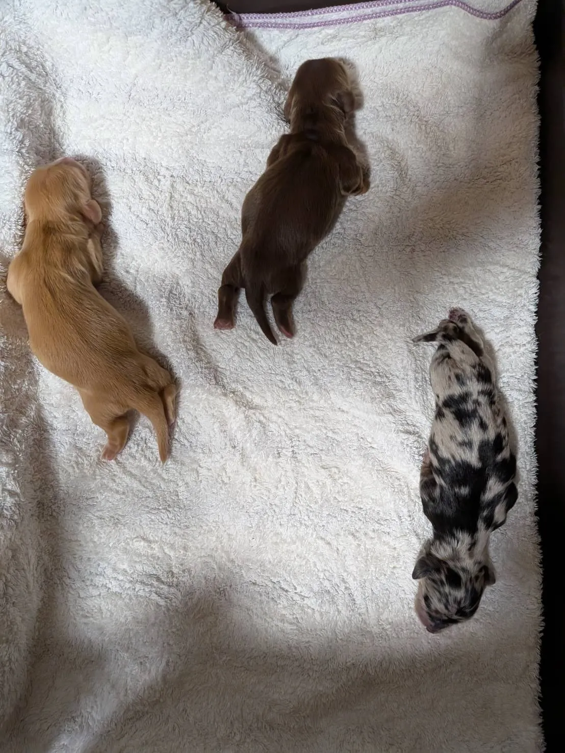 産まれました🐾