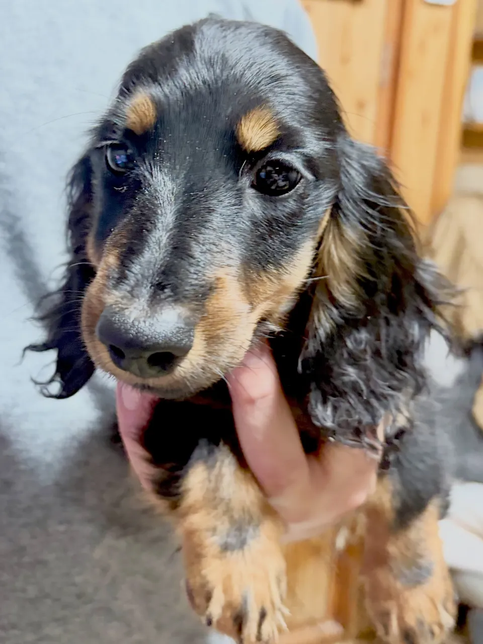 オーナー様募集🐾