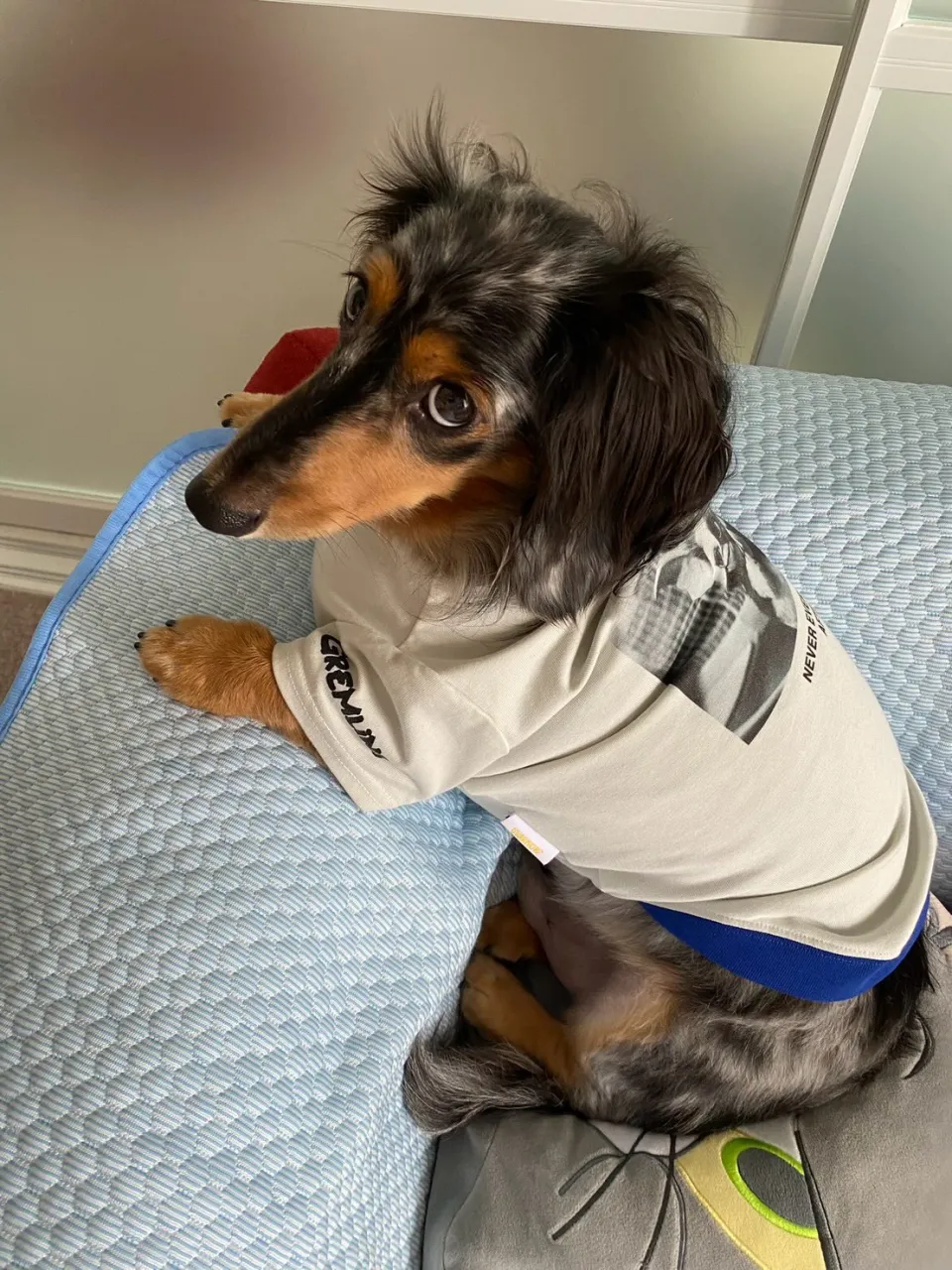 オレオ君🐾