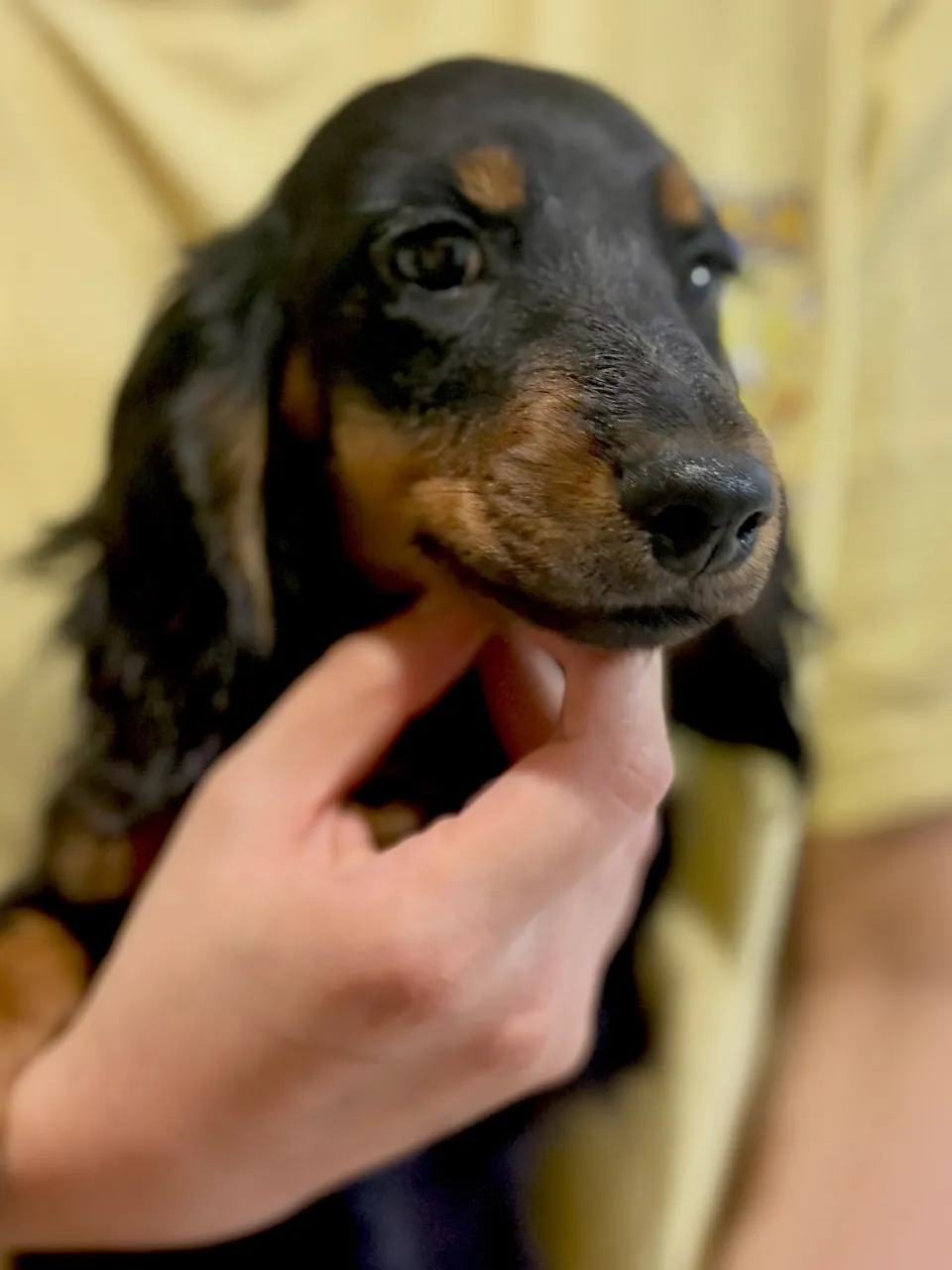 オーナー様募集中🐾
