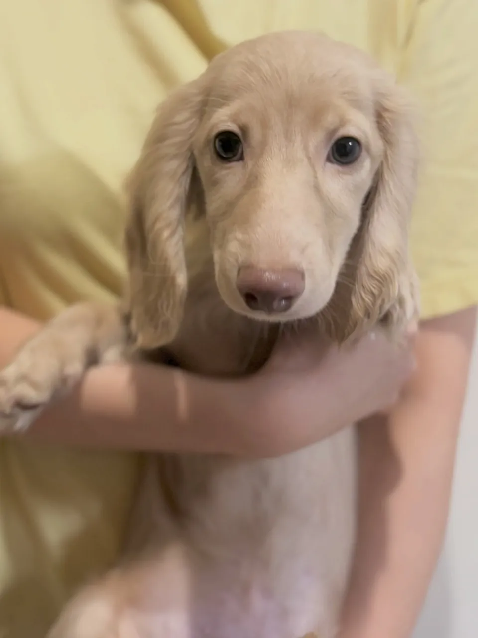 オーナー様募集中🐾