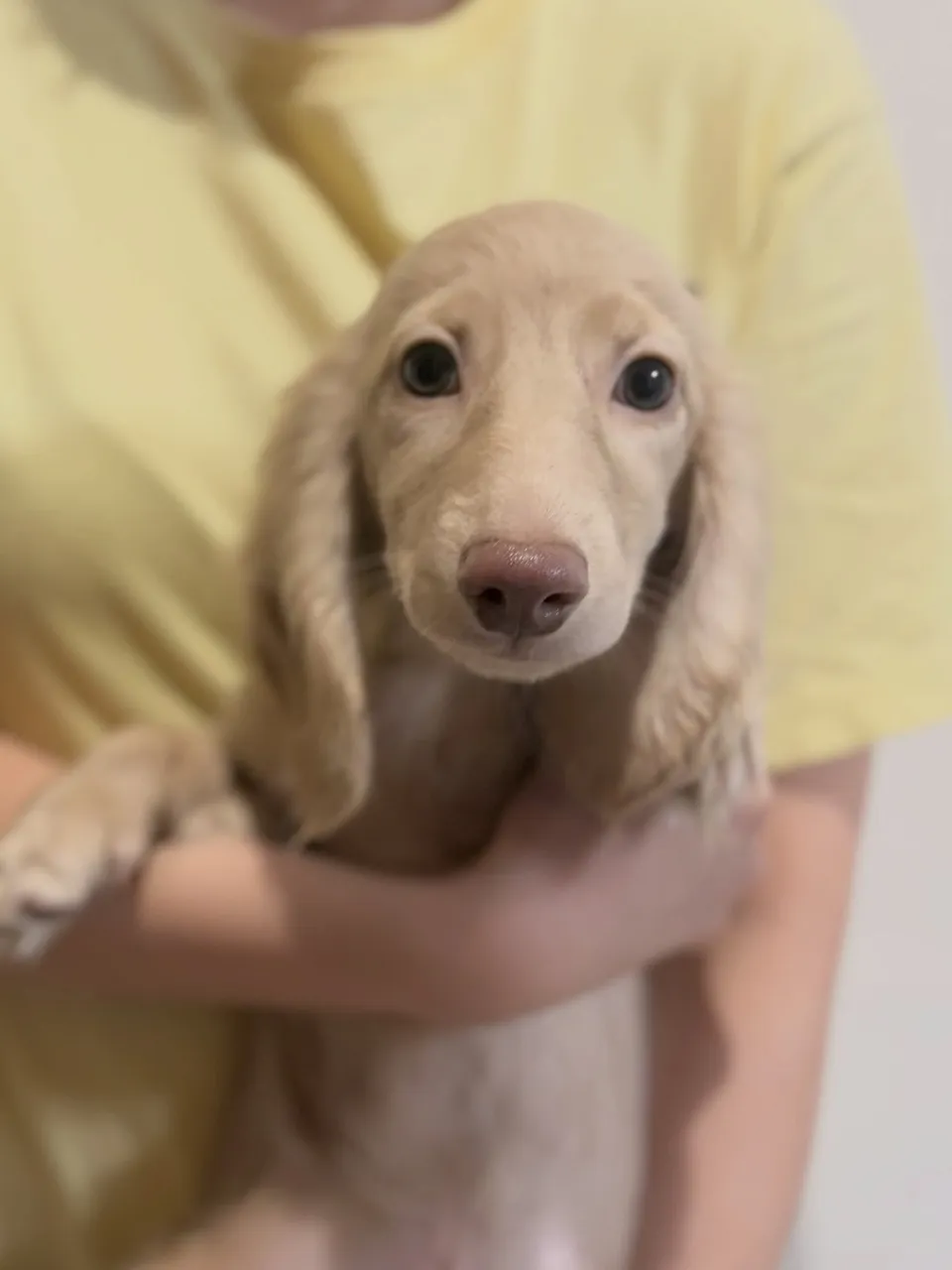 オーナー様募集中🐾