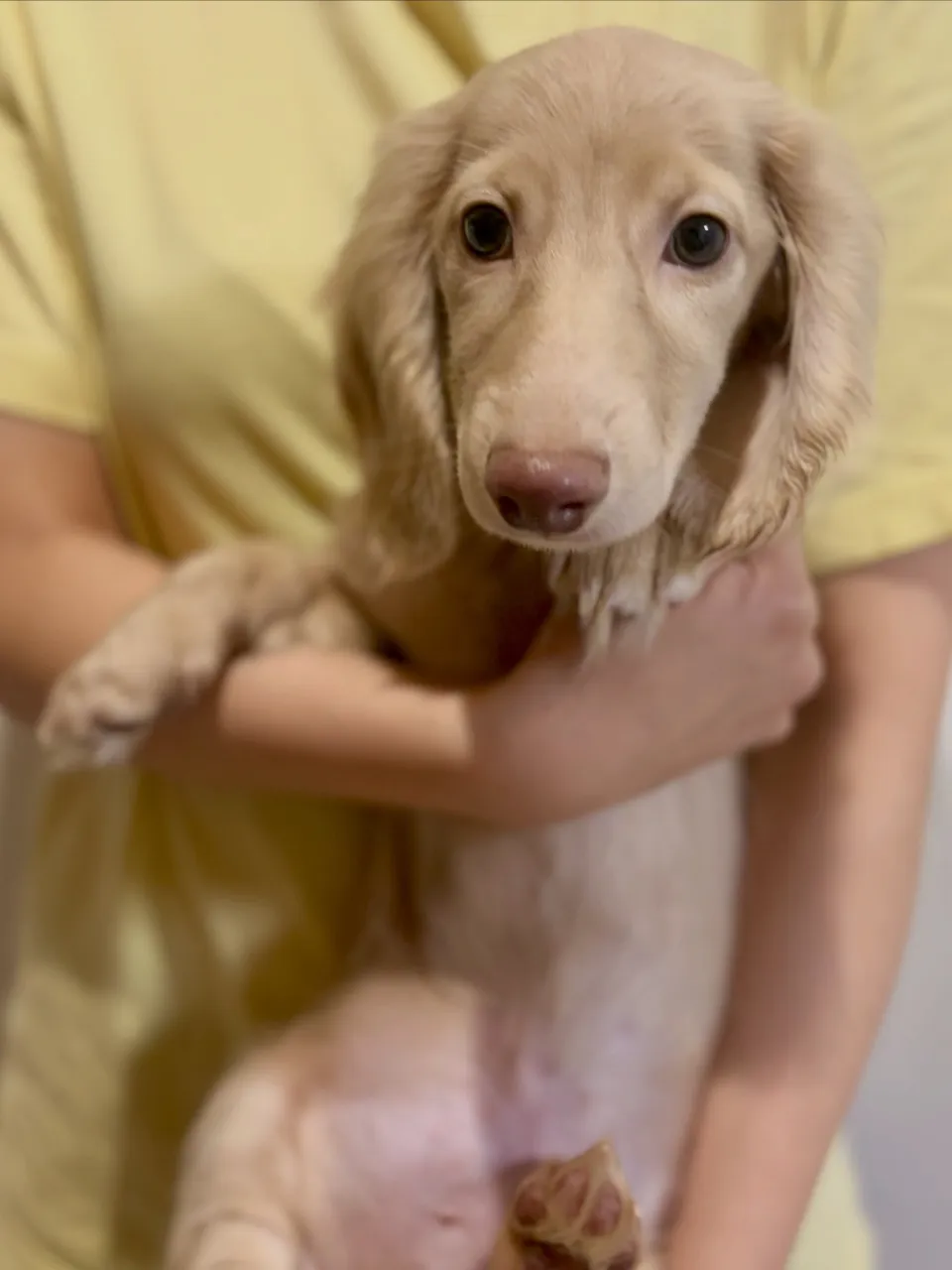 オーナー様募集中🐾