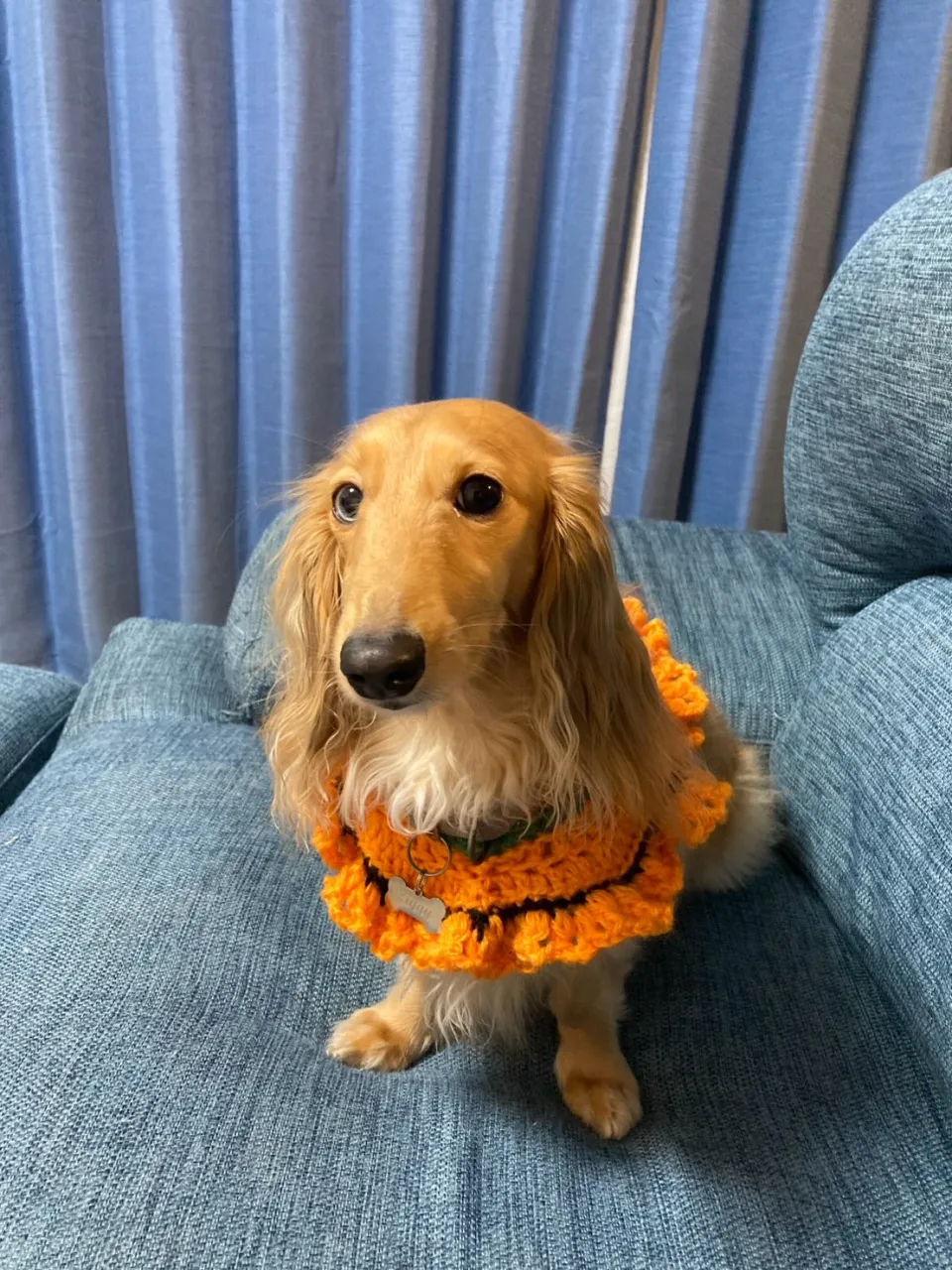 ジギー君🐾