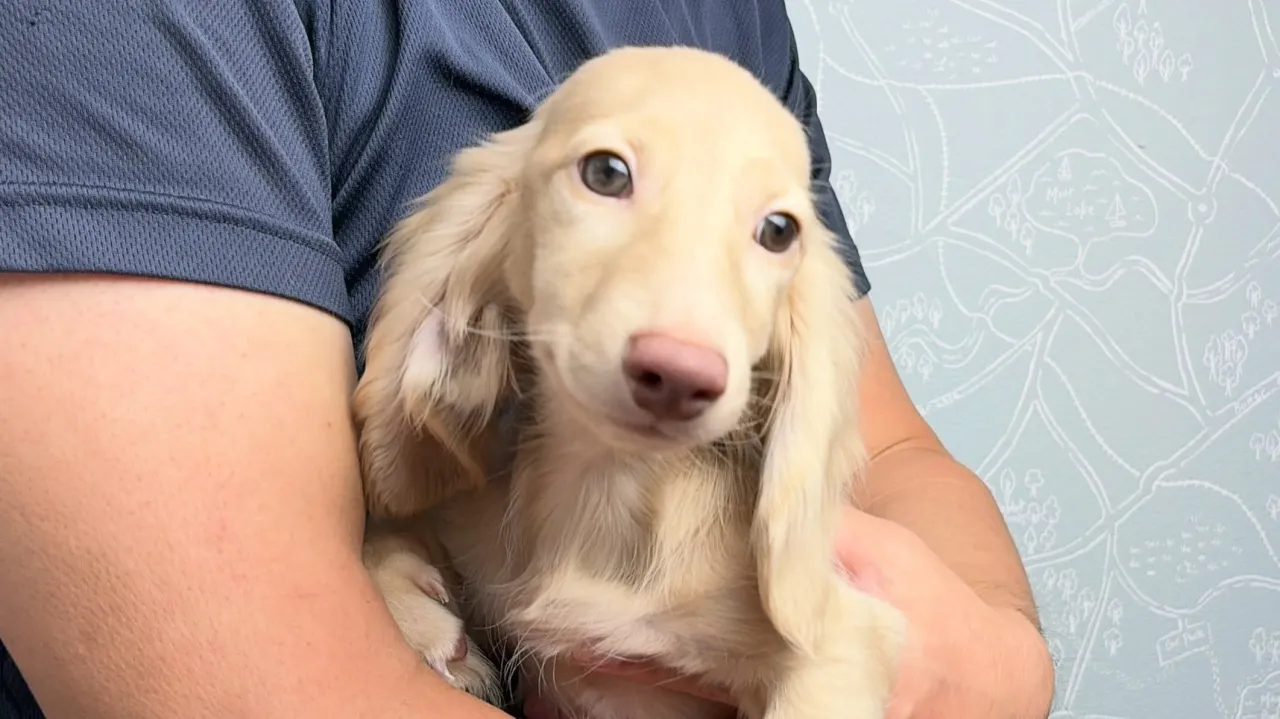 オーナー様募集中🐾
