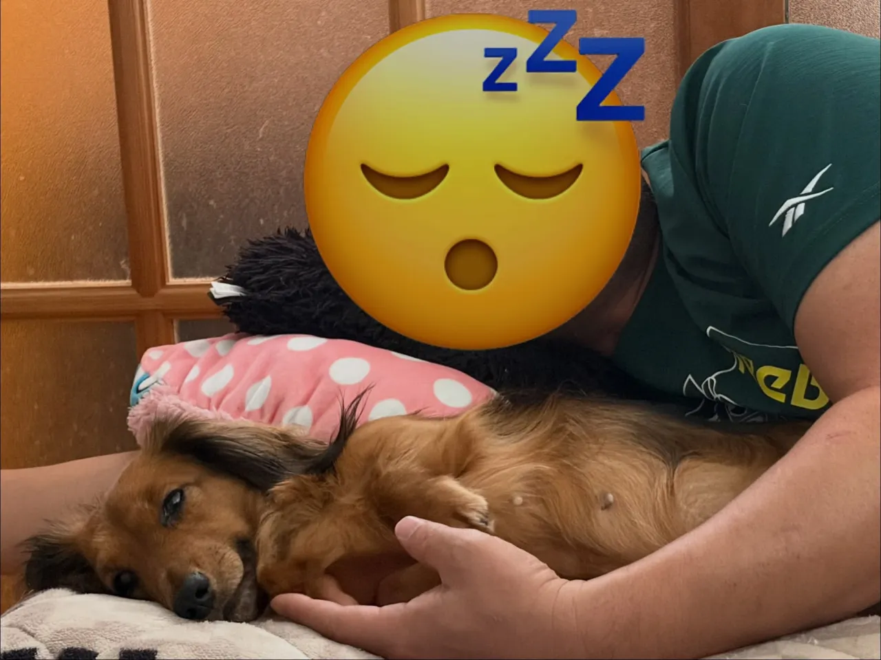 あゆ🐾