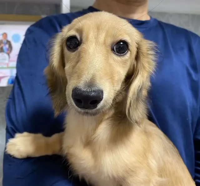 2025.7.20生まれの女の子🐾