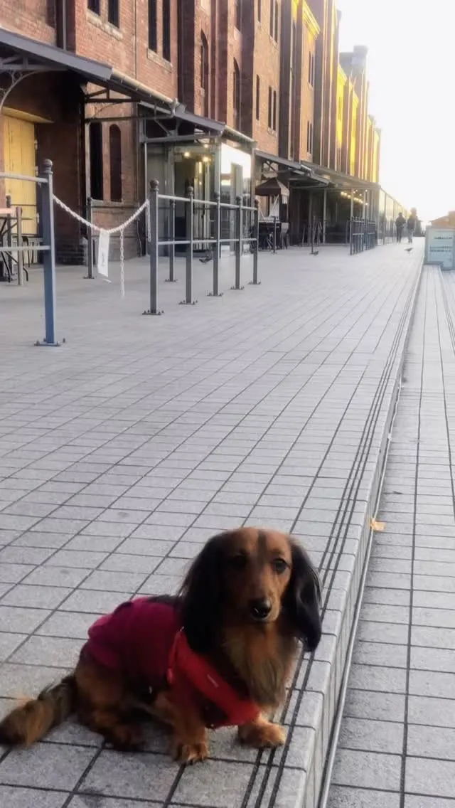 タッチ君🐾