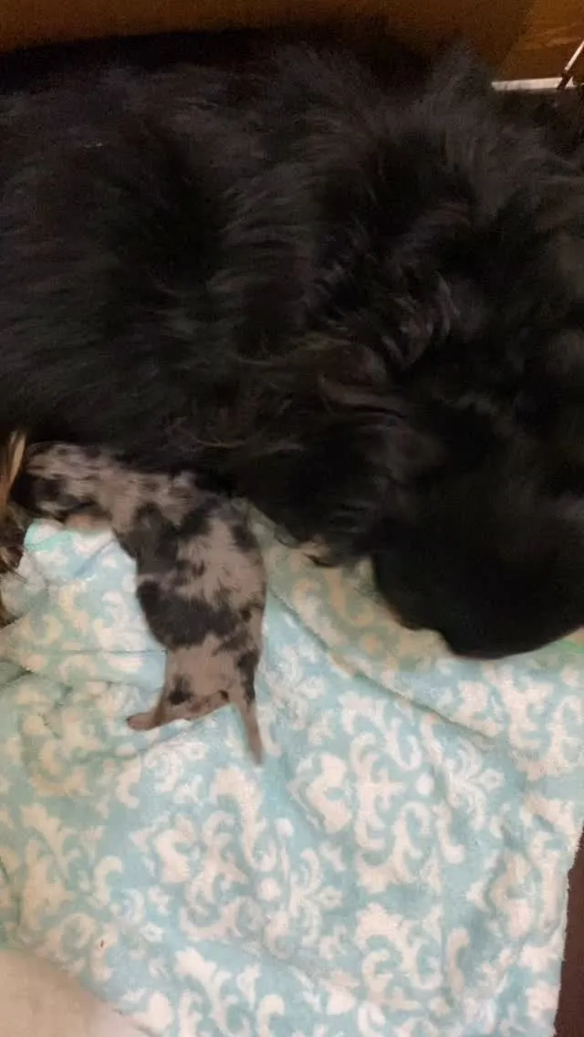 産まれました🐾